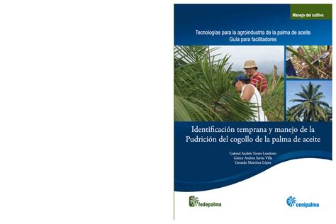  La Expansión del Imperio Aksumita: Conquista Territorial y Auge Comercial en el Siglo VIII